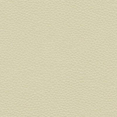 H002 Oxford Putty